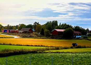 Choosing the Right Bedroom Furniture: Functional Pieces for Your Space