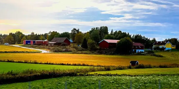 Choosing the Right Bedroom Furniture: Functional Pieces for Your Space